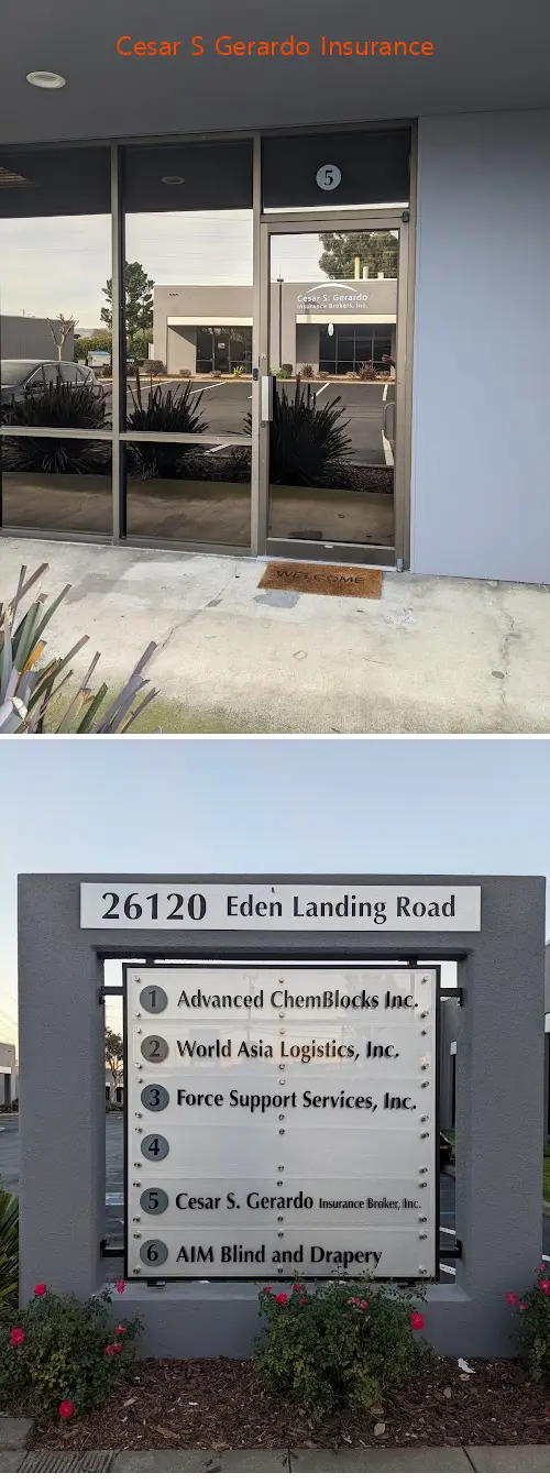 Cesar S Gerardo Insurance