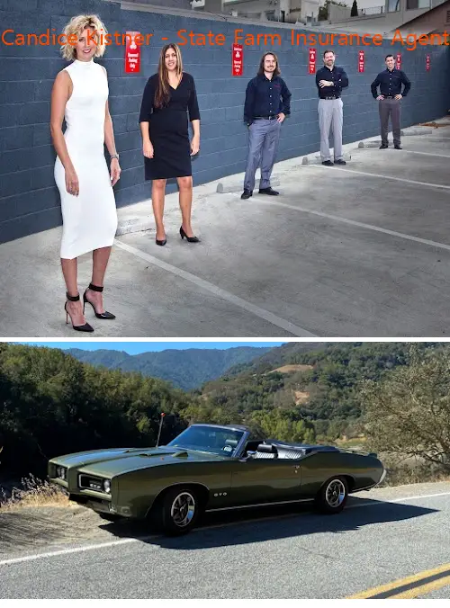 Candice Kistner - State Farm Insurance Agent