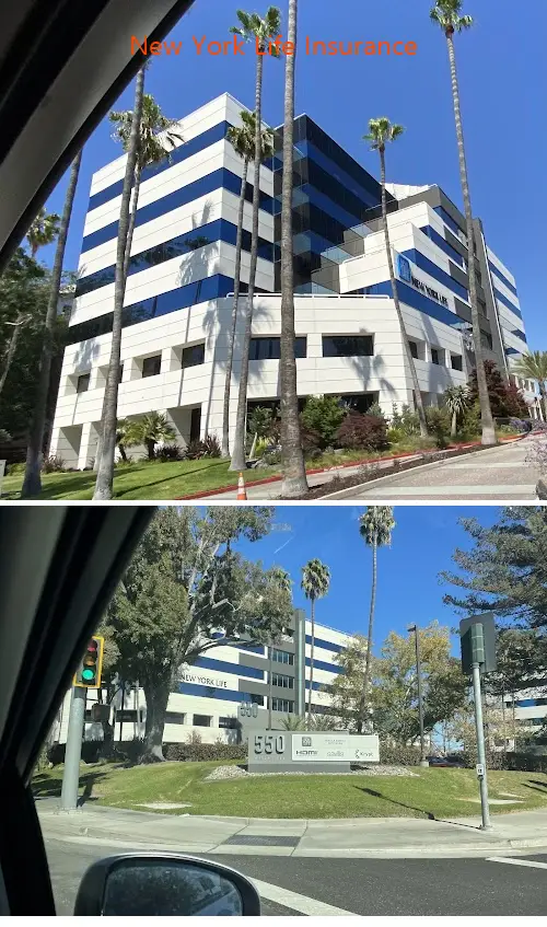 New York Life Insurance