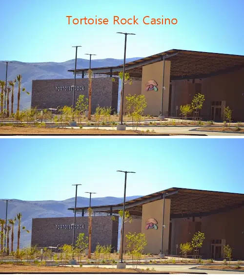 Tortoise Rock Casino