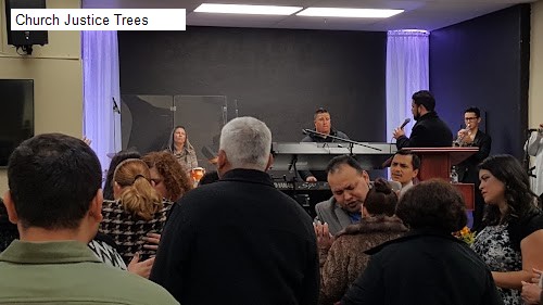 Church Justice Trees