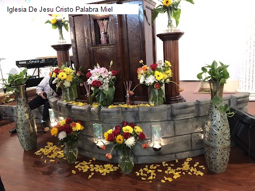 Iglesia De Jesu Cristo Palabra Miel