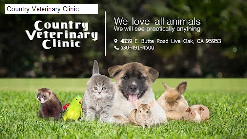 Country Veterinary Clinic