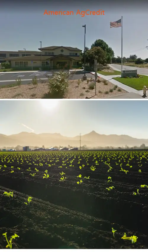 American AgCredit