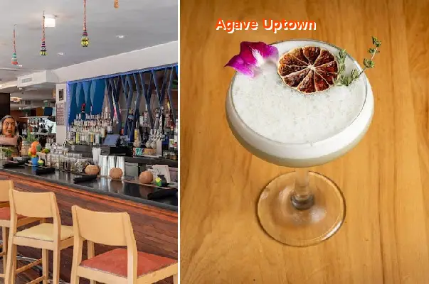 Agave Uptown