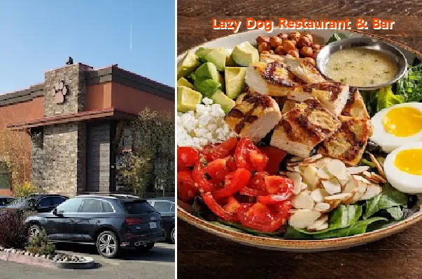 Lazy Dog Restaurant & Bar