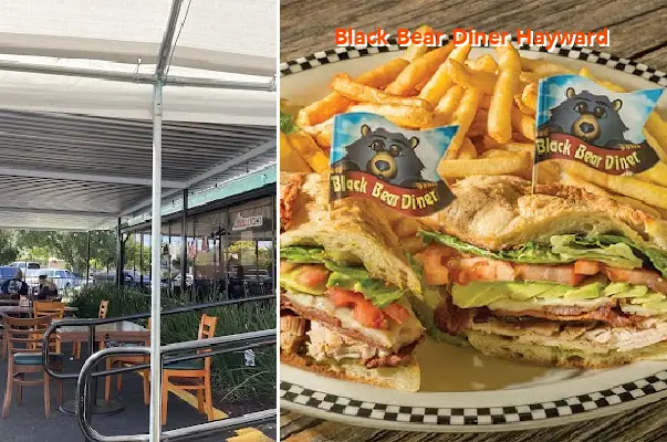 Black Bear Diner Hayward