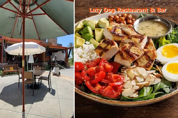 Lazy Dog Restaurant & Bar