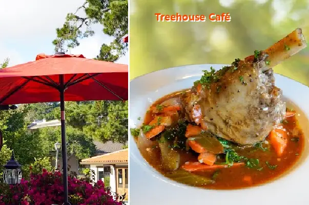 Treehouse Café