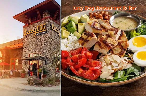 Lazy Dog Restaurant & Bar