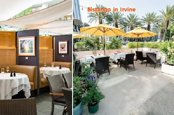 Bistango in Irvine