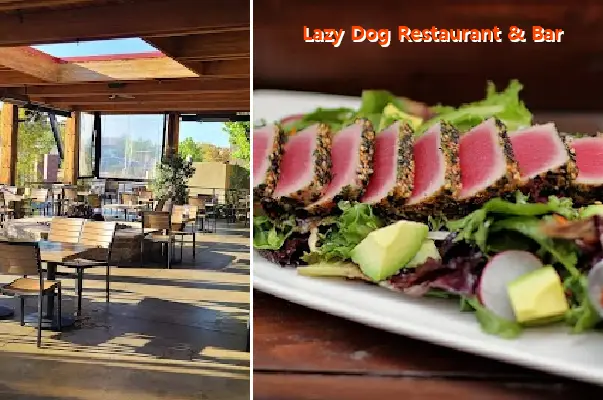 Lazy Dog Restaurant & Bar
