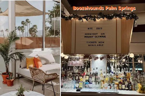 Boozehounds Palm Springs
