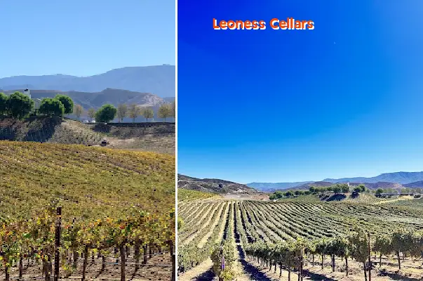 Leoness Cellars