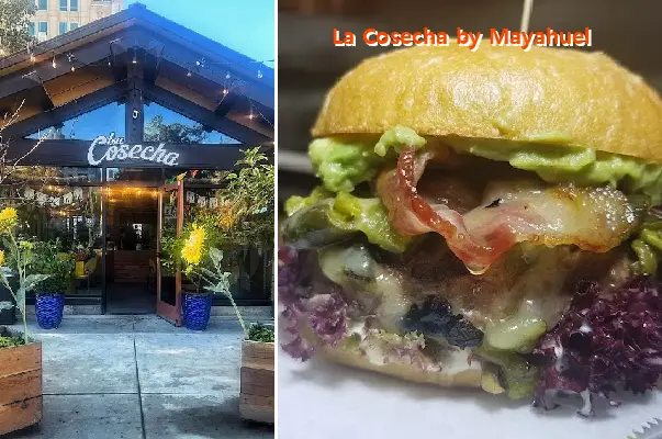 La Cosecha by Mayahuel