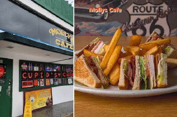 Mollys Cafe