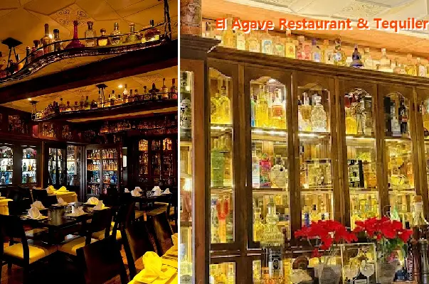 El Agave Restaurant & Tequileria