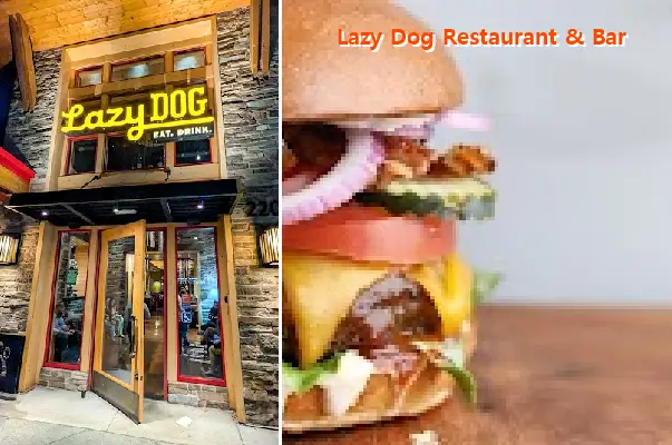 Lazy Dog Restaurant & Bar