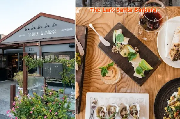 The Lark Santa Barbara