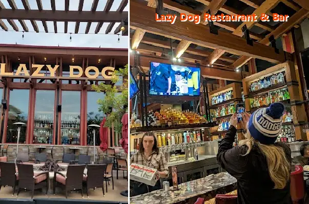 Lazy Dog Restaurant & Bar