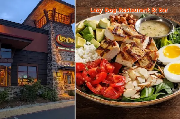 Lazy Dog Restaurant & Bar