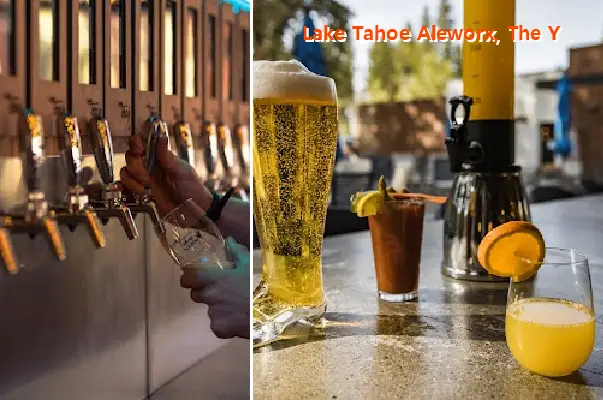 Lake Tahoe Aleworx, The Y