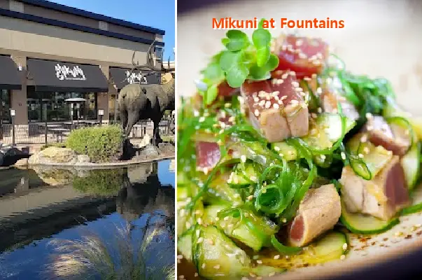 Mikuni at Fountains