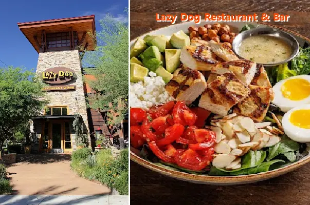 Lazy Dog Restaurant & Bar