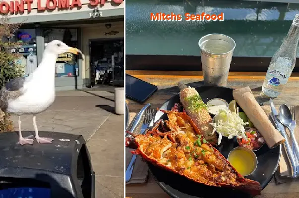 Mitchs Seafood