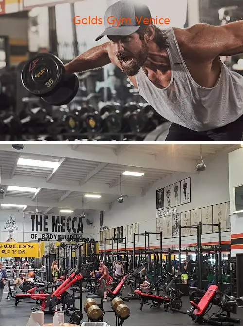 Golds Gym Venice