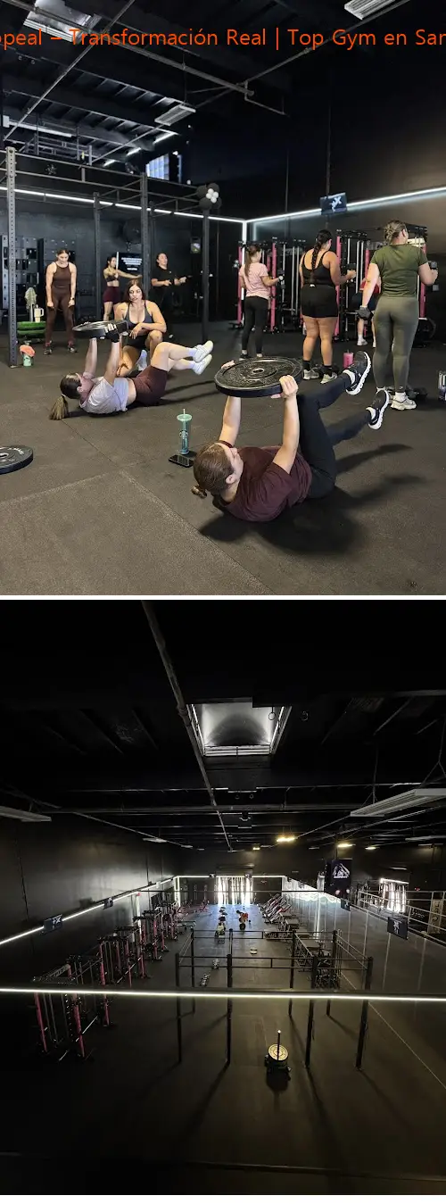 Flex Appeal – Transformación Real | Top Gym en San Diego