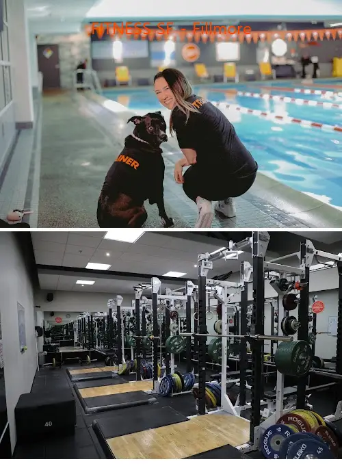 FITNESS SF - Fillmore