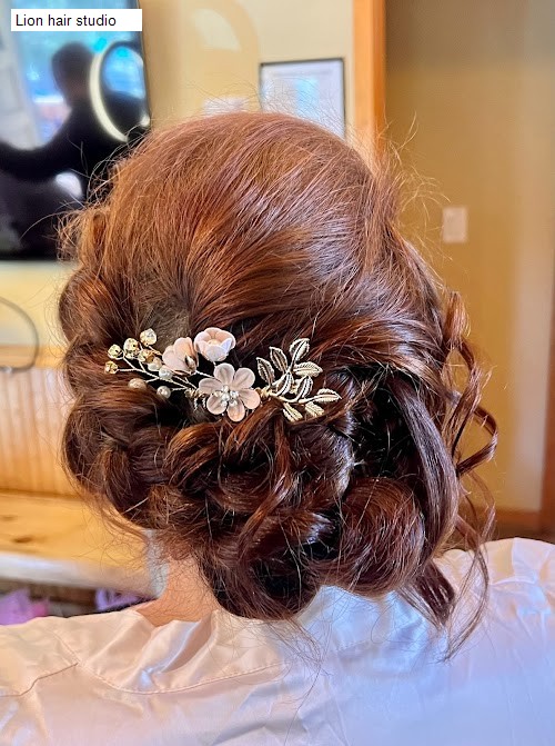 Lion hair studio