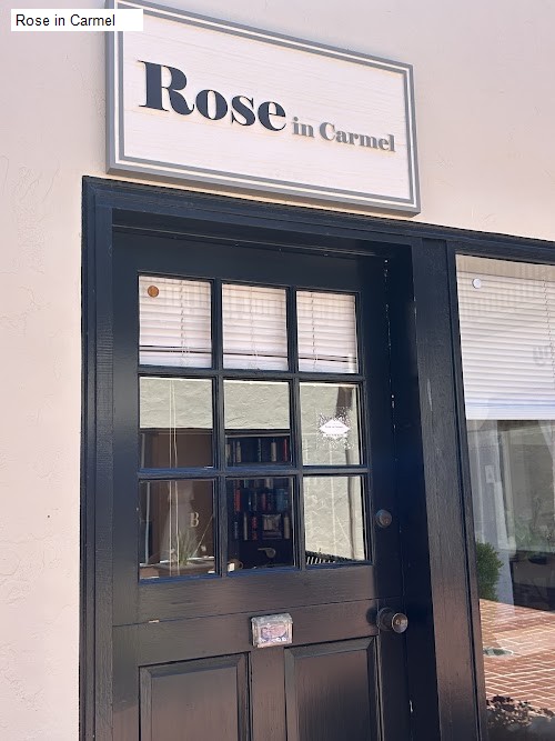 Rose in Carmel