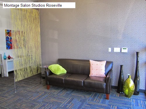 Montage Salon Studios Roseville
