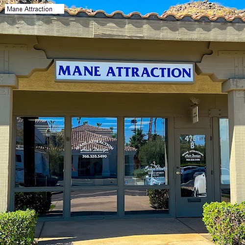 Mane Attraction