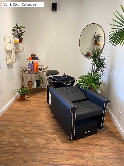 Cut & Color Collective