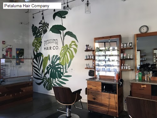 Petaluma Hair Company