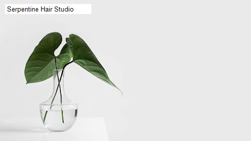 Serpentine Hair Studio