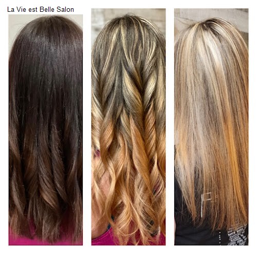 La Vie est Belle Salon