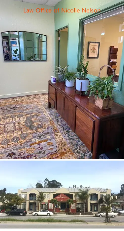 Law Office of Nicolle Nelson