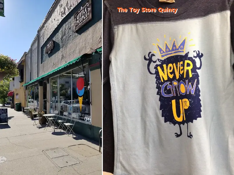 The Toy Store Quincy