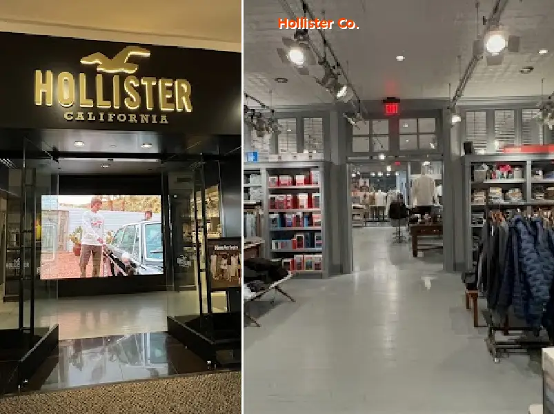 Hollister Co.