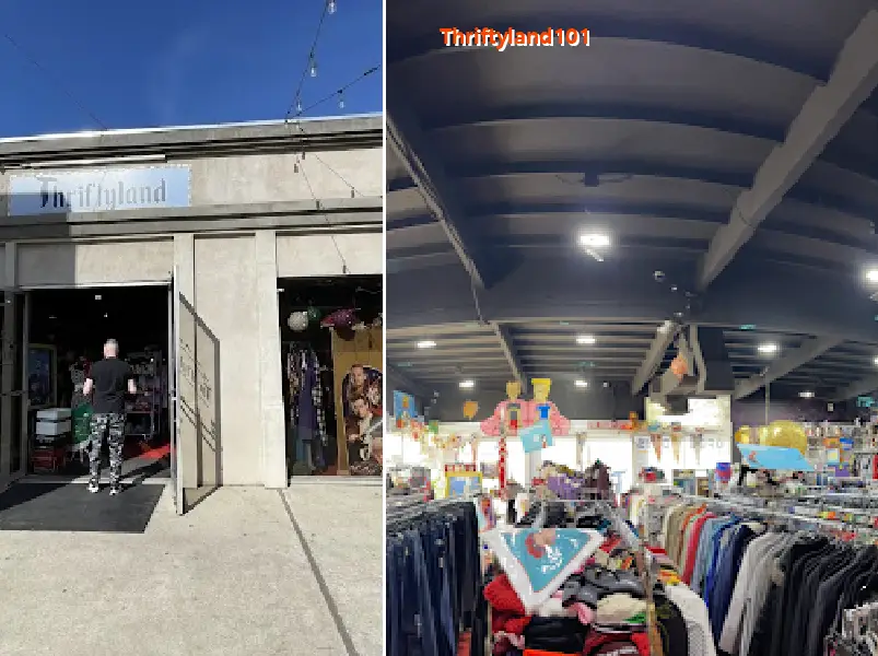 Thriftyland101