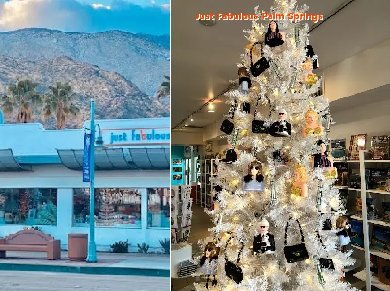 Just Fabulous Palm Springs