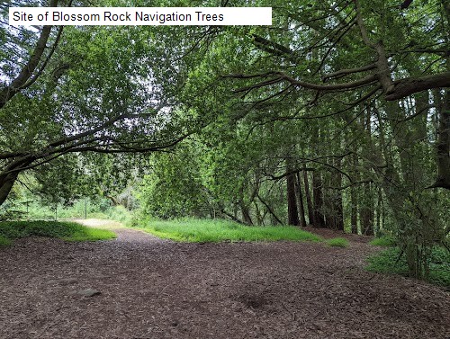 Site of Blossom Rock Navigation Trees