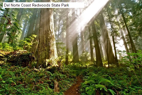 Del Norte Coast Redwoods State Park