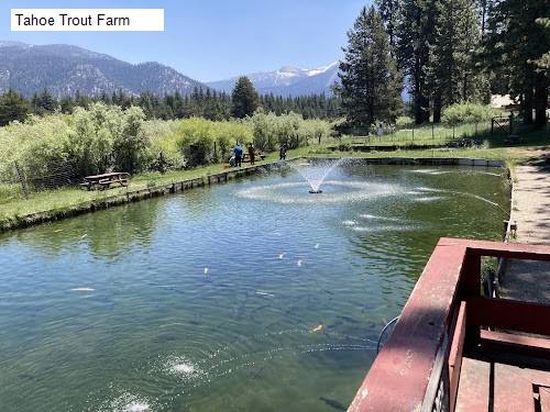 Tahoe Trout Farm