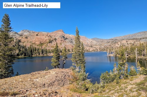 Glen Alpine Trailhead-Lily