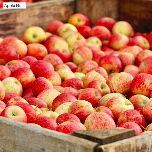 Apple Hill